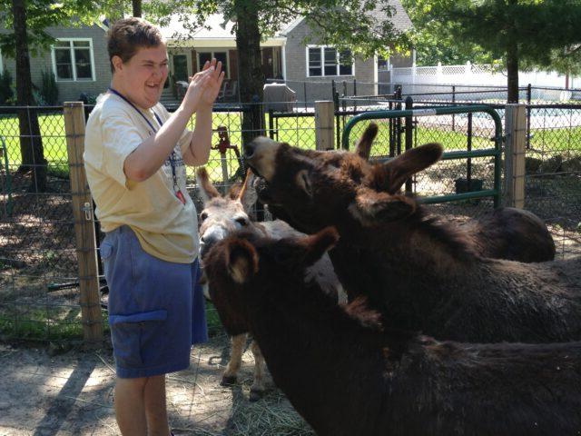 One of our adult 居民 hangs out with two of our six donkeys.